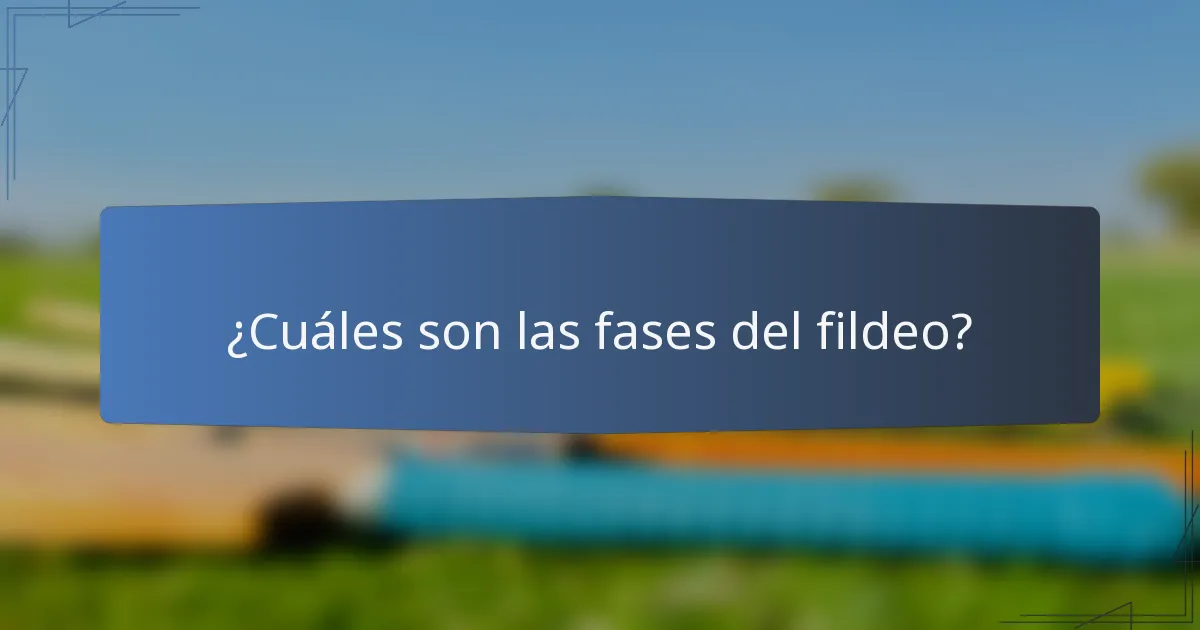 ¿Cuáles son las fases del fildeo?