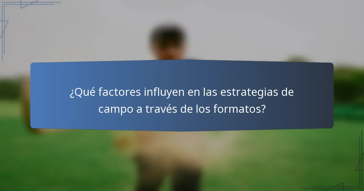 ¿Qué factores influyen en las estrategias de campo a través de los formatos?